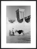 Full length standing portrait of ...