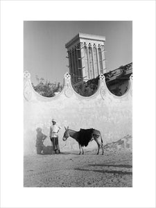 Full length standing portrait of ...
