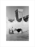 Full length standing portrait of ...