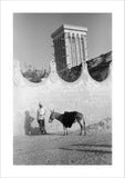 Full length standing portrait of ...