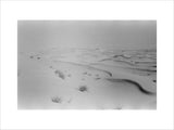 View of desert landscape in ...