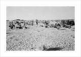 View of Bedouin men in ...