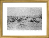 View of Wilfred Thesiger's travelling ...