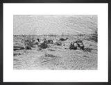 View of Wilfred Thesiger's travelling ...
