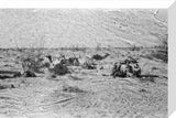 View of Wilfred Thesiger's travelling ...