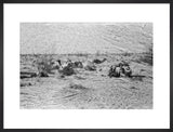 View of Wilfred Thesiger's travelling ...