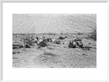 View of Wilfred Thesiger's travelling ...