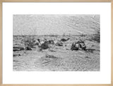 View of Wilfred Thesiger's travelling ...