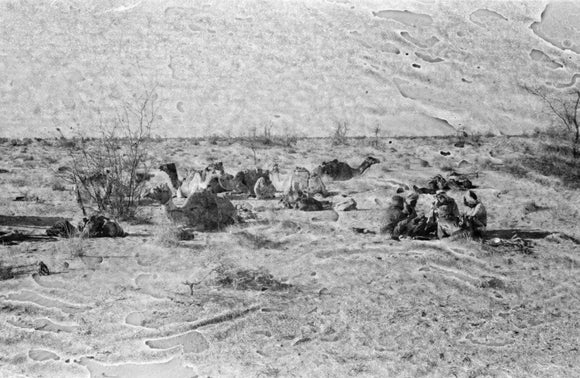 View of Wilfred Thesiger's travelling ...