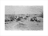 View of Wilfred Thesiger's travelling ...