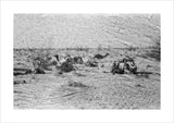 View of Wilfred Thesiger's travelling ...