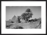 Huts and palm trees at ...