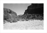 View of Wilfred Thesiger's Bedouin ...