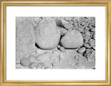 Three large boulders covered in ...