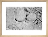 Three large boulders covered in ...