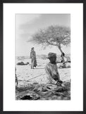 Seated portrait of a Bedouin ...