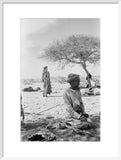 Seated portrait of a Bedouin ...