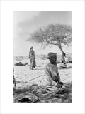 Seated portrait of a Bedouin ...
