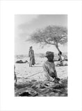 Seated portrait of a Bedouin ...
