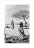 Seated portrait of a Bedouin ...