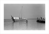 View of a dhow (sailboat) ...