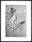 A member of Wilfred Thesiger's ...