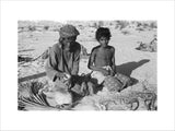 Portrait of Salim bin Turkia ...