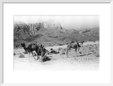 Wilfred Thesiger's party in the ...