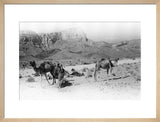 Wilfred Thesiger's party in the ...