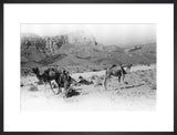 Wilfred Thesiger's party in the ...