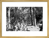 View of vegetation growing in ...