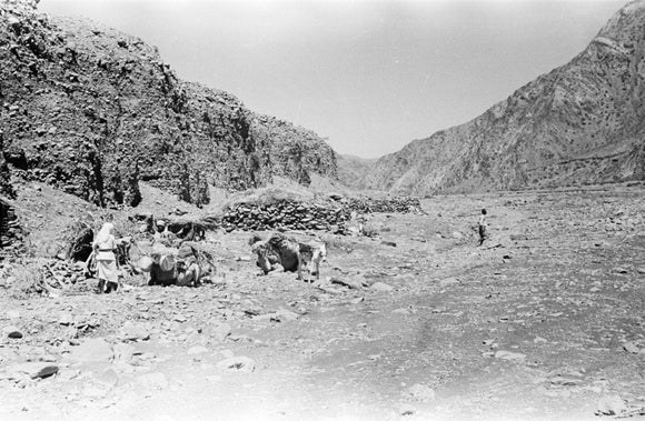 View of Wilfred Thesiger's travelling ...