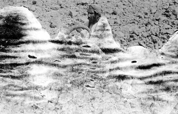Portrait of Awad bin Khazai ...