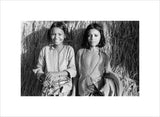 Portrait of two boys in ...