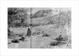 Wilfred Thesiger's camp at Ghayl ...