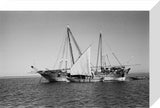 Side view of two dhows ...