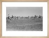 View of a group of ...