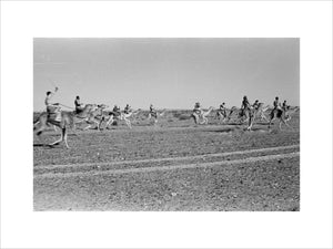 View of a group of ...
