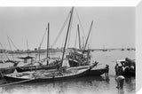 View of dhows (sailboats) and ...
