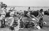 View of Sahul Bedouin drawing ...