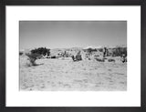 View of Wilfred Thesiger's party ...