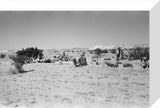 View of Wilfred Thesiger's party ...