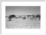 View of Wilfred Thesiger's party ...