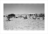 View of Wilfred Thesiger's party ...