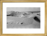 View of dunes along the ...