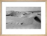 View of dunes along the ...