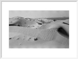 View of dunes along the ...