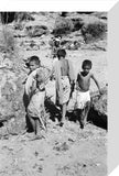 Portrait of three boys from ...