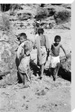 Portrait of three boys from ...