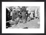 View of Sa'ar Bedouin watering ...